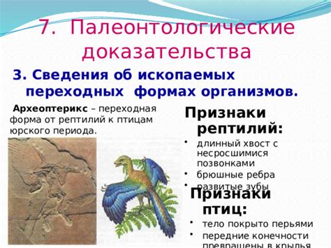 От ископаемых к гастроподсчетным системам