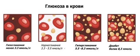 Патока и уровень глюкозы в крови