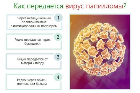 Пепелац: основные причины и методы удаления