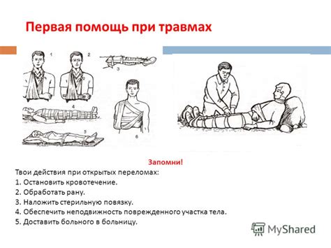 Первая помощь при травме лапы котенка