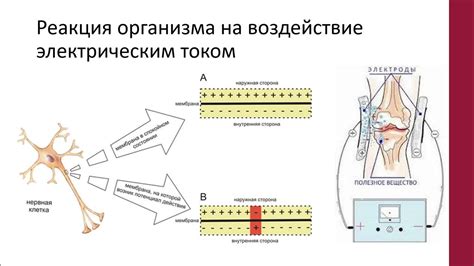 Первичное важное действие