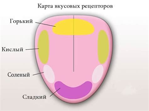 Передача вкусовых сигналов