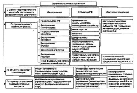 Передача полномочий органов исполнительной власти: понятие и суть