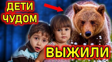 Персональная история виннипушкистого медведя