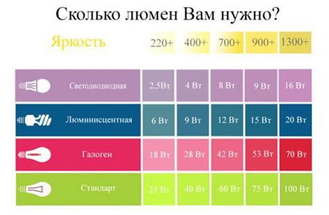 Пион: освещение и температура