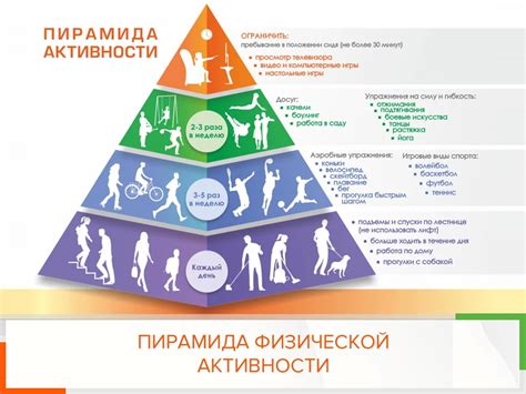 Питание, физическая активность и сон