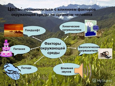 Питание глистов: как оно влияет на экологию?