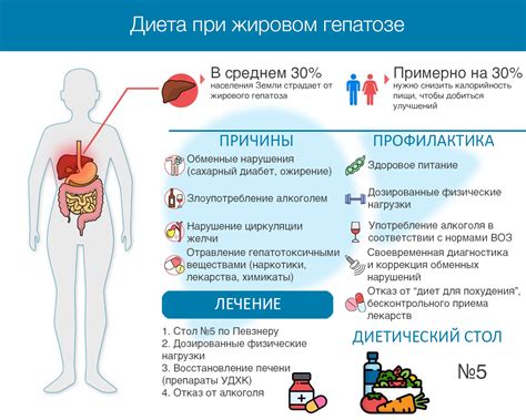 Питание и диета для борьбы с жировиком