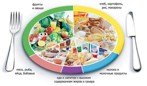 Питание и продукты: баланс пищи