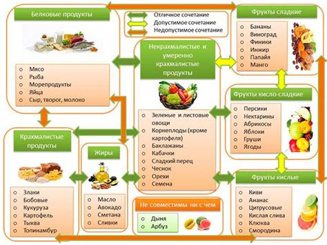 Питание с винирами: секреты сочетания продуктов