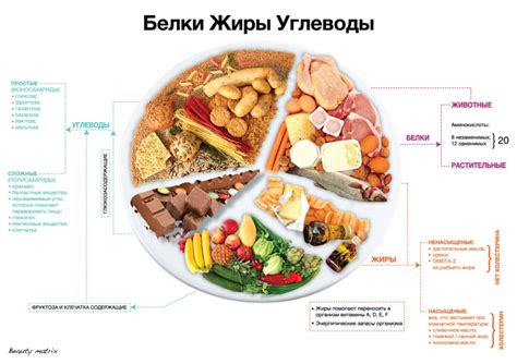 Пищеварение и исключение из диет