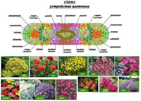 План создания ярусной клумбы