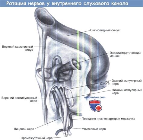 Плохая гигиена слухового канала