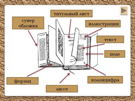 Повествование и структура книги