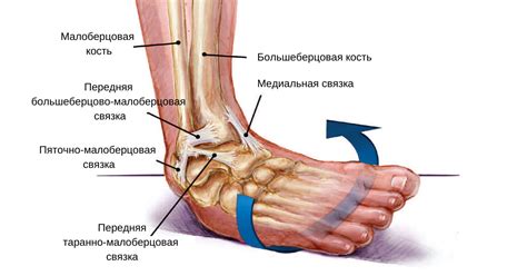 Повреждения суставов и мышц