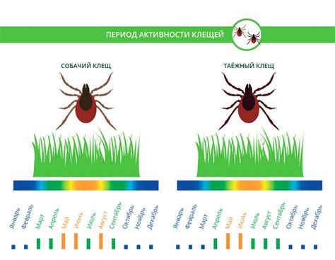 Повышенная активность клещей