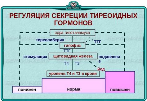 Повышенное содержание тиреоидных гормонов