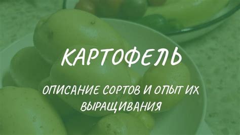 Подбор сортов