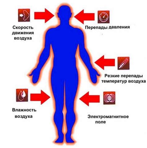 Поддержание оптимального микроклимата