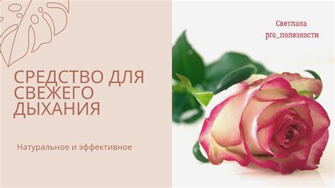 Поддержание свежего дыхания