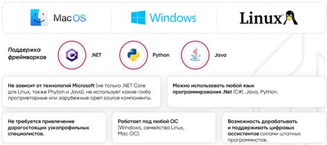 Поддержка окружения и networking