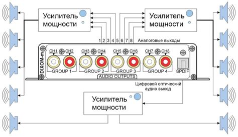 Подключение тюльпанов к усилителю: практическое руководство