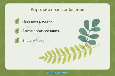 Позаботьтесь о растении