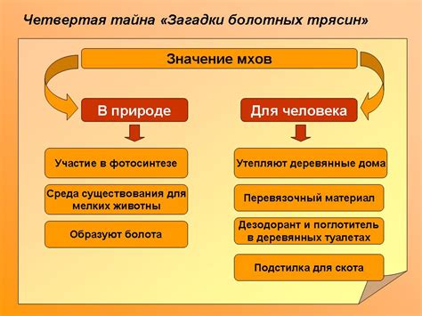 Позитивные стороны споров для мхов