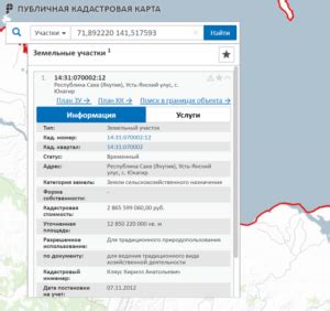 Поиск собственника по кадастровому номеру