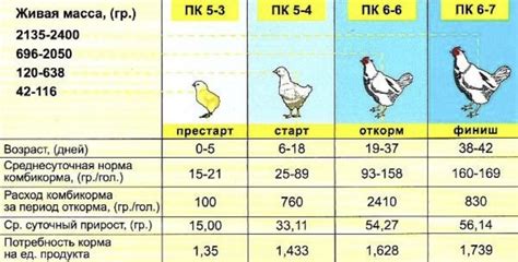 Показатели питания птиц: