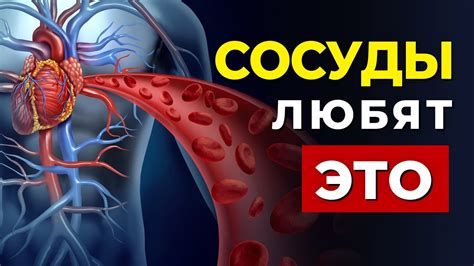 Полезен для сердечно-сосудистой системы