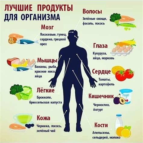 Полезные продукты для организма