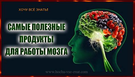 Полезные продукты для работы мозга