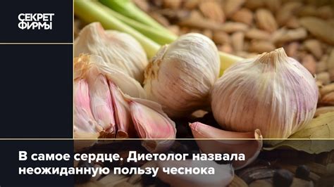 Полезные свойства мистов