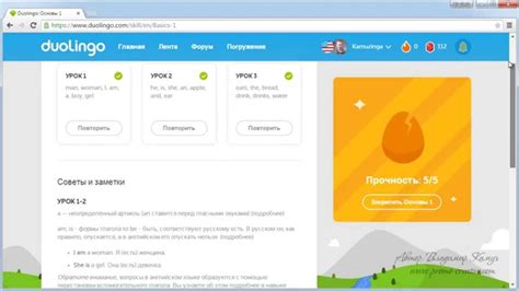 Полезные советы и примеры успешной подготовки к изучению английского на Duolingo