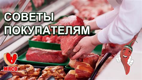 Полезные советы по выбору мяса для тушения