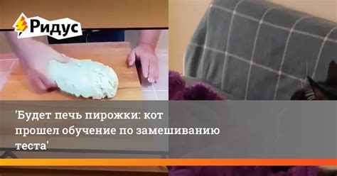 Полезные советы по замешиванию теста