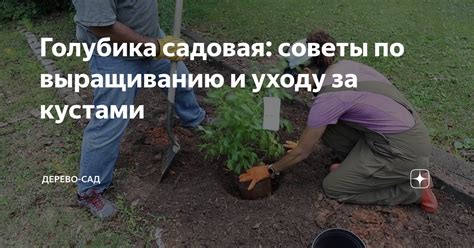 Полезные советы по уходу: