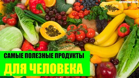 Полезные функции для человека