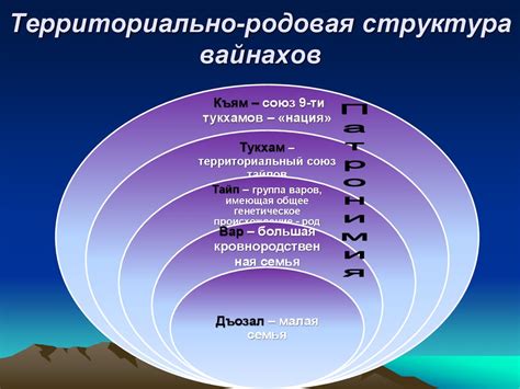 Политическая структура вайнахов