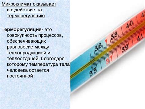 Положительное воздействие на терморегуляцию