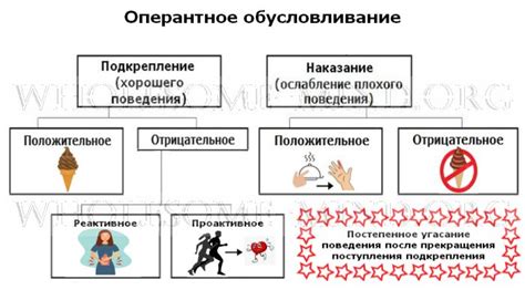 Положительное подкрепление и поощрение