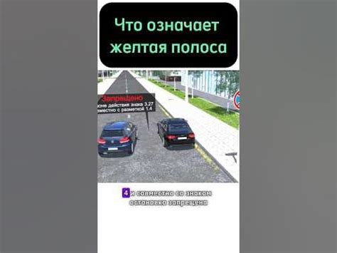 Польза желтой полосы