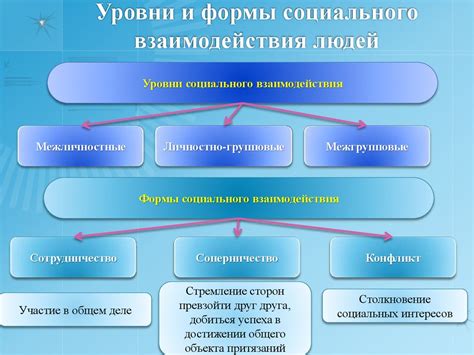 Польза социального взаимодействия для успеха