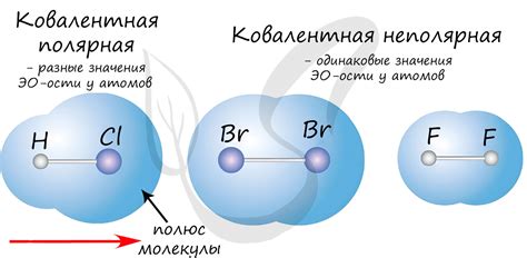 Полярные ковалентные связи