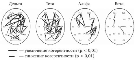 Понимание динамики корковых ритмов