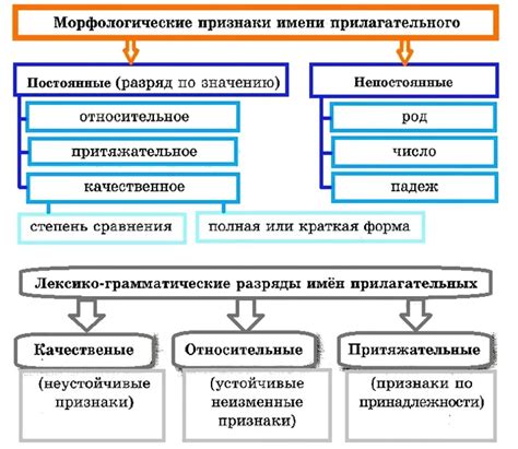 Понятие прилагательного в русском языке