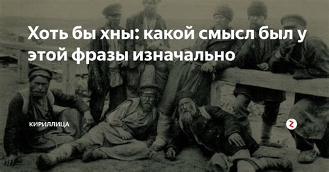 Популярность фразы "хоть бы хны" в современном обществе