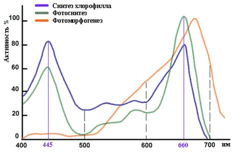 Популярные источники света для роста растений