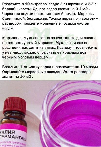 Популярные рецепты очистки